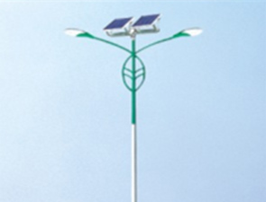 太陽(yáng)能路燈TLD_25
