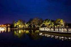 防疫抗疫,負重前行,太陽能路燈廠家牛氣沖天,犇起來!!!