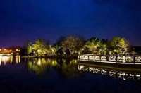 防疫抗疫,負重前行,太陽能路燈廠家牛氣沖天,犇起來!!!